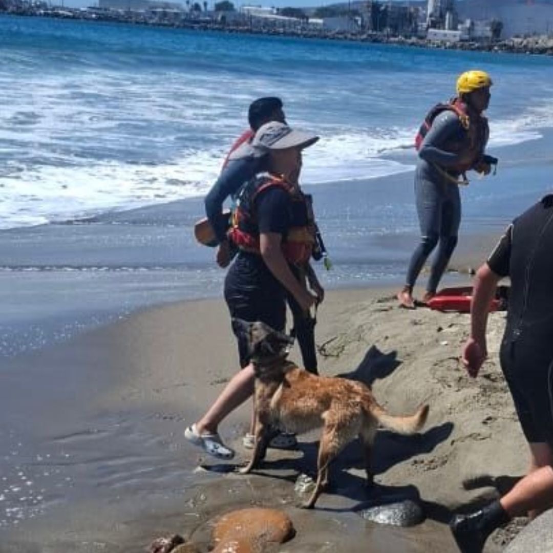 Rescatan a Mujer y su Perro Atrapados en Playa Stacks de Ensenada, Baja California